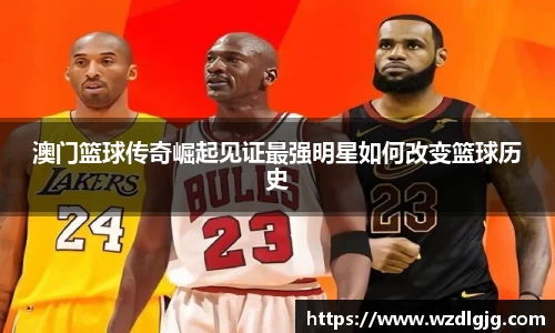 8866体育官方网站